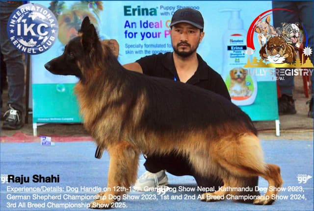 Raju Shahi with dog