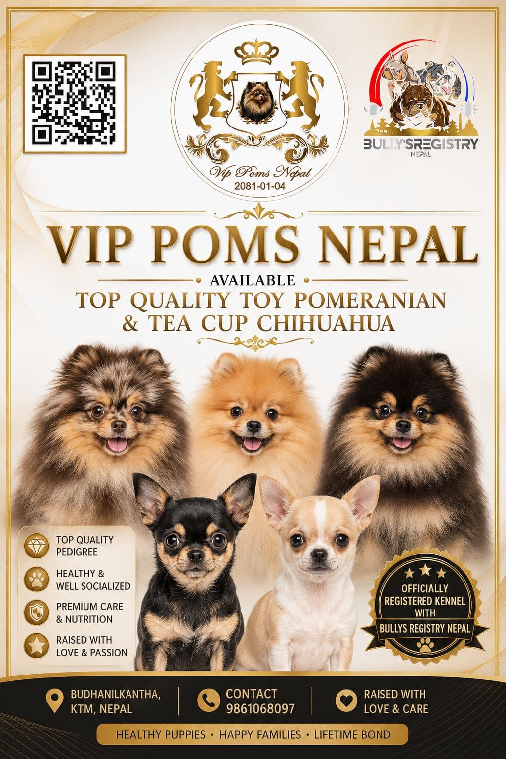 VIP Poms Nepal Promotional Poster