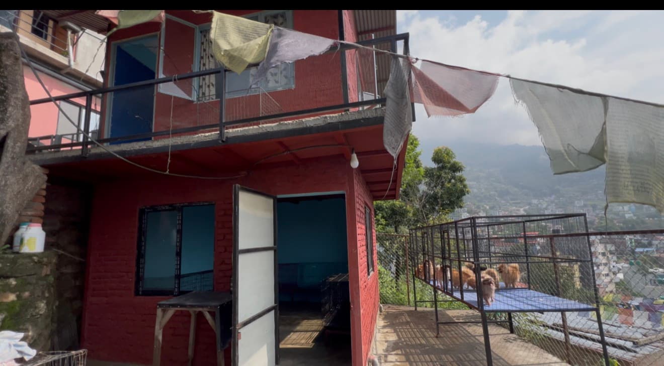 Kennel exterior view