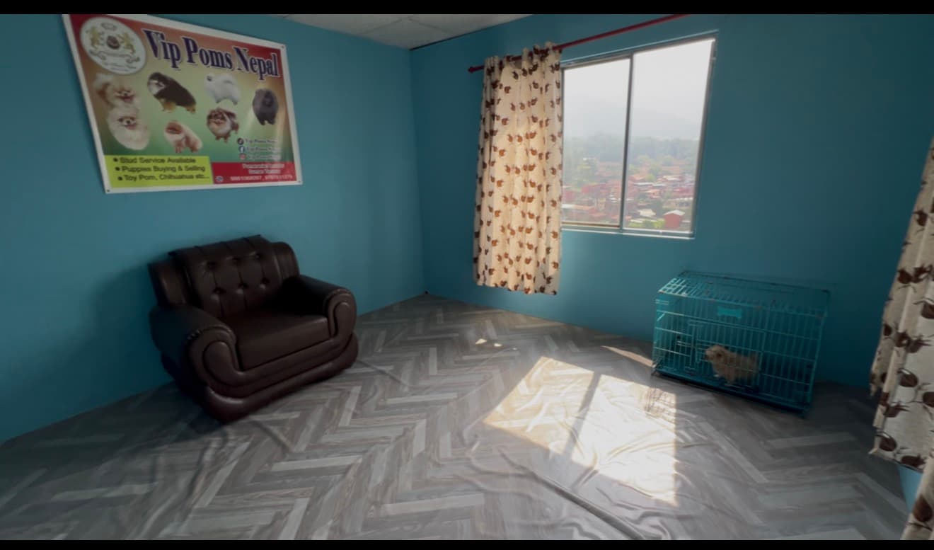 Indoor office and waiting room