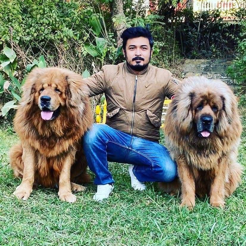 Anuj Dangol