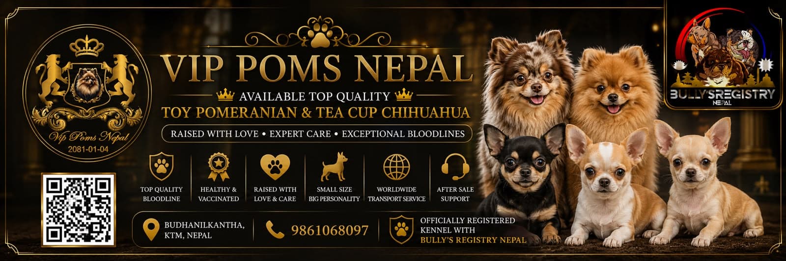 Advertisement